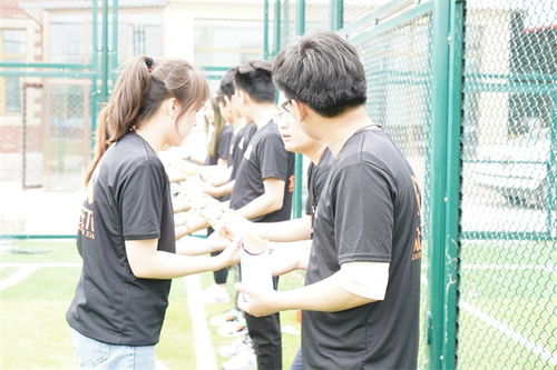 天津企業拓展訓練與名航企業管理咨詢服務的協同增效